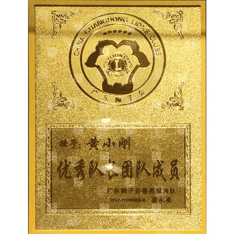 廣東獅子會粵亮服務隊優秀隊長團隊成員