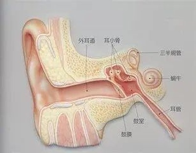 噪音的危害-1