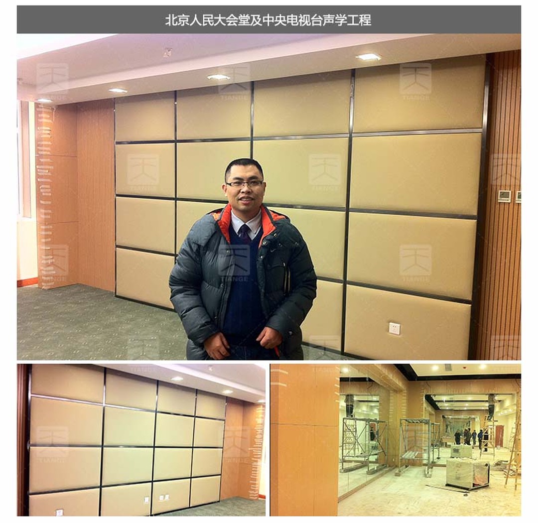 北京人民大會堂及中央電視臺聲學工程