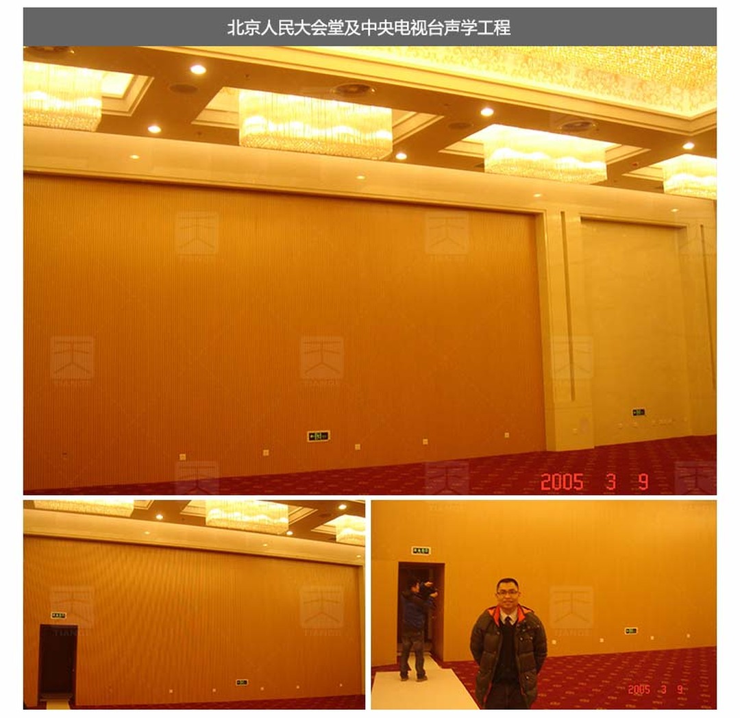 北京人民大會堂及中央電視臺聲學工程