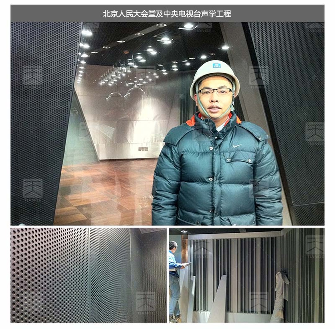 北京人民大會堂及中央電視臺聲學工程
