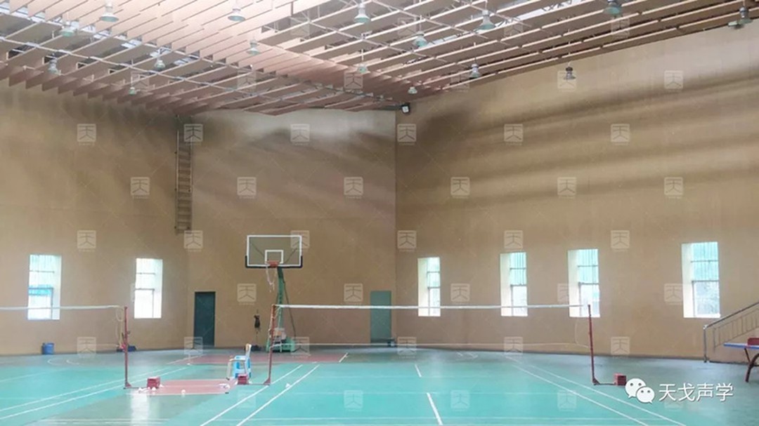 東莞新民小學體育館